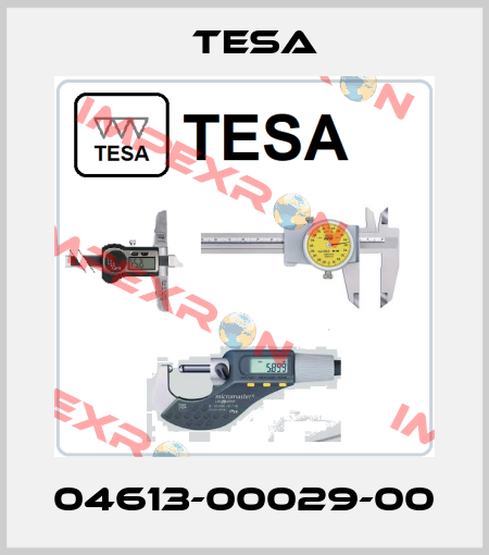 04613-00029-00 Tesa