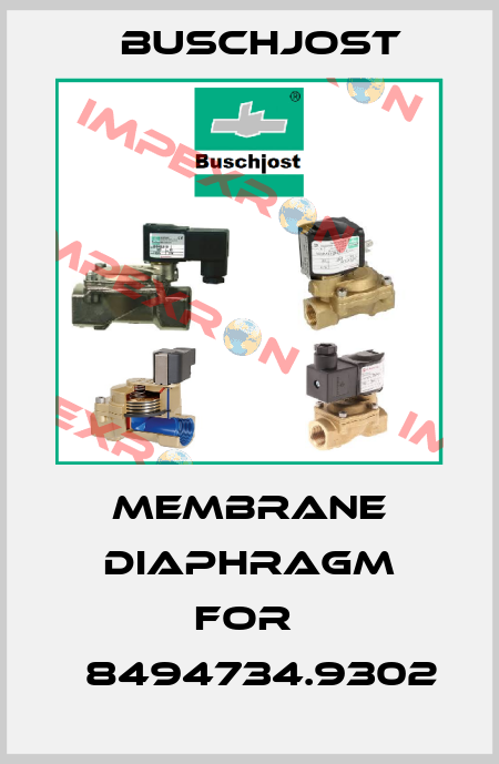membrane diaphragm for  	8494734.9302 Buschjost