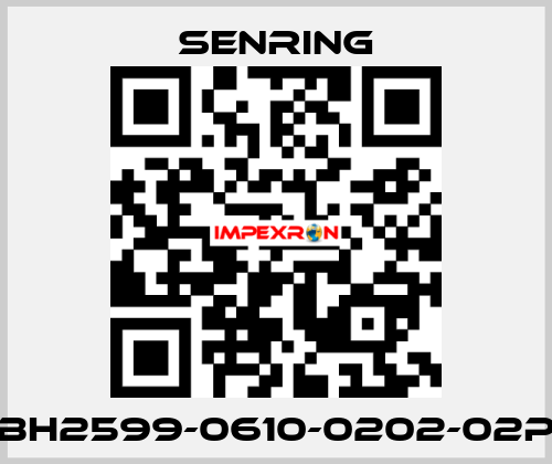 BH2599-0610-0202-02P SENRING