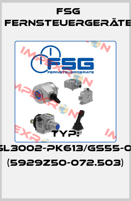 Typ: SL3002-PK613/GS55-01 (5929Z50-072.503) FSG Fernsteuergeräte
