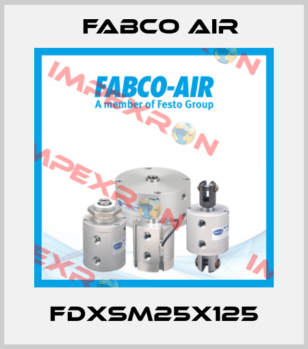 FDXSM25X125 Fabco Air