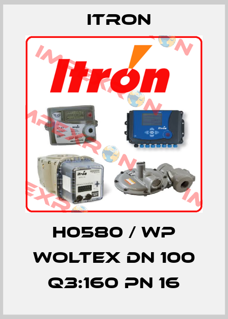 H0580 / WP Woltex DN 100 Q3:160 PN 16 Itron