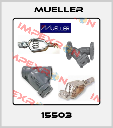 15503 Mueller