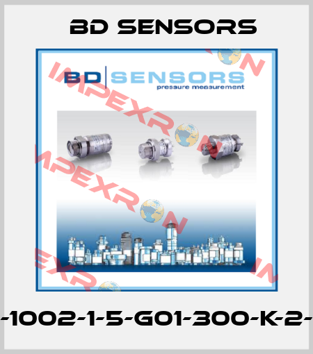 590-1002-1-5-G01-300-K-2-000 Bd Sensors