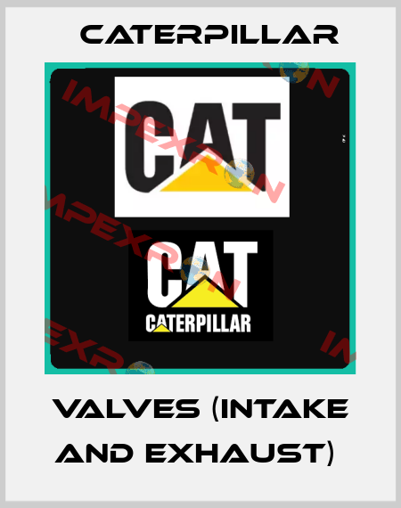 VALVES (INTAKE AND EXHAUST)  Caterpillar