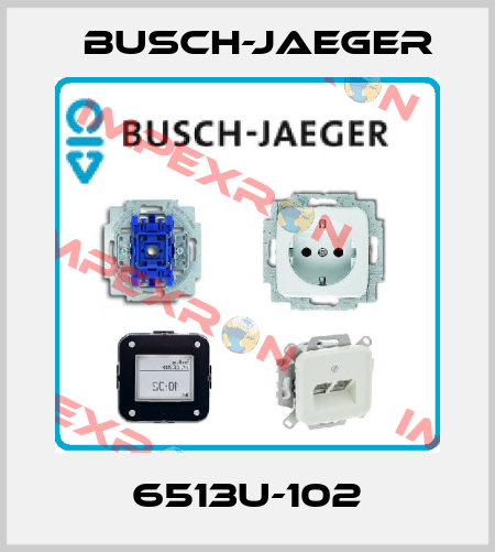 6513U-102 Busch-Jaeger