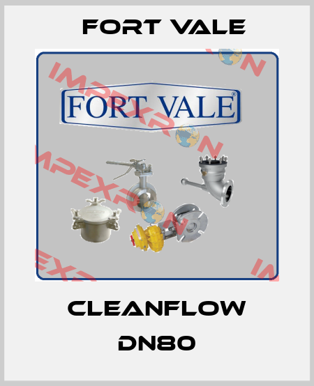 Cleanflow DN80 Fort Vale