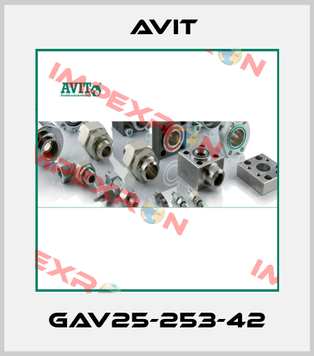 GAV25-253-42 Avit