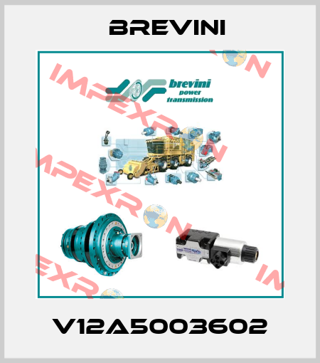 V12A5003602 Brevini