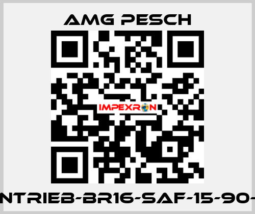 AMG-Antrieb-BR16-SAF-15-90-01-n=12 AMG Pesch