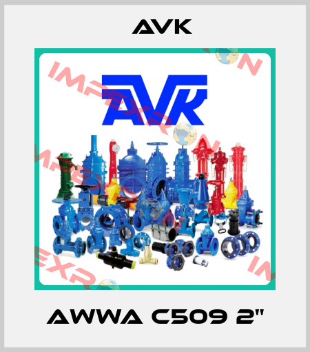 AWWA C509 2" AVK