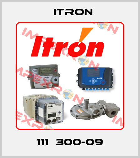 111Е300-09 Itron