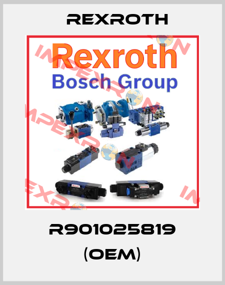 R901025819 (OEM) Rexroth