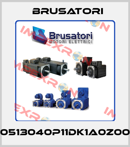 0513040P11DK1A0Z00 Brusatori