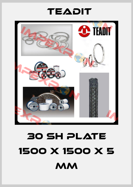 30 SH plate 1500 x 1500 x 5 mm Teadit