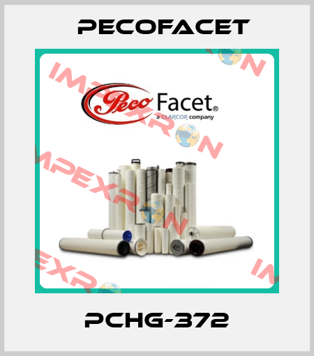 PCHG-372 PECOFacet