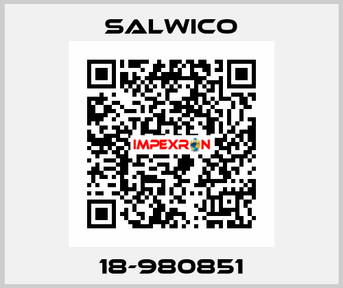 18-980851 Salwico