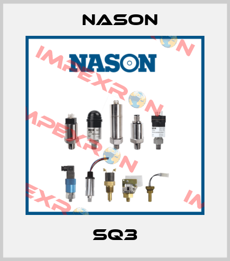 SQ3 Nason