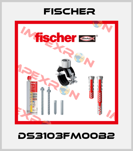 DS3103FM00B2 Fischer