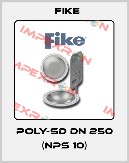 POLY-SD DN 250 (NPS 10) FIKE