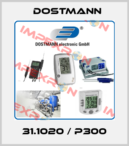 31.1020 / P300 Dostmann