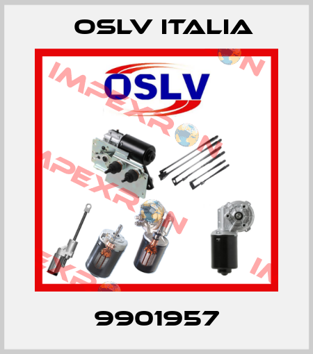 9901957 OSLV Italia