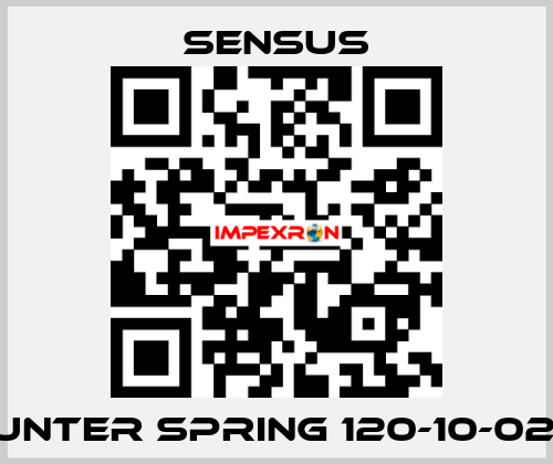 Counter spring 120-10-021-10 Sensus