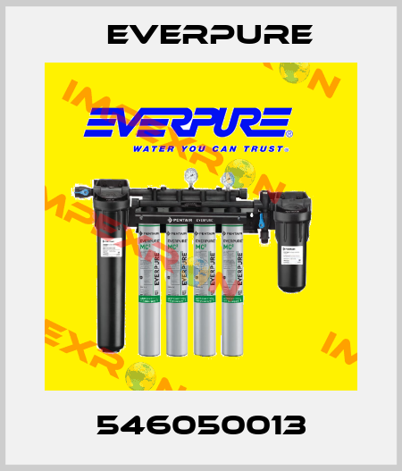 546050013 Everpure