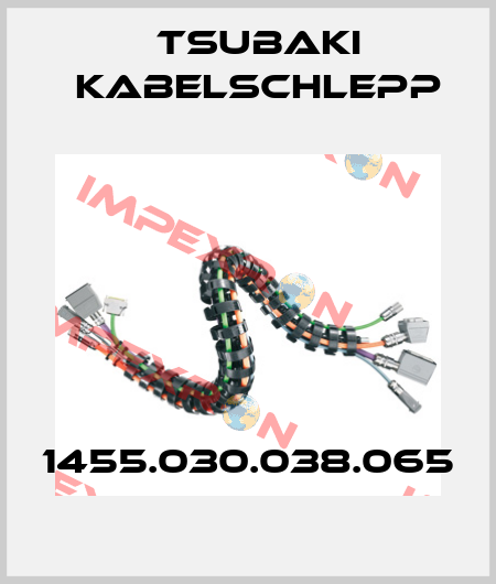 1455.030.038.065 Tsubaki Kabelschlepp