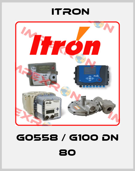 G0558 / G100 DN 80 Itron