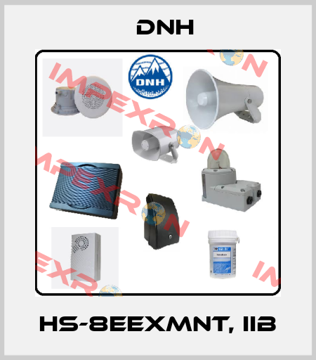 HS-8EExmNT, IIB DNH