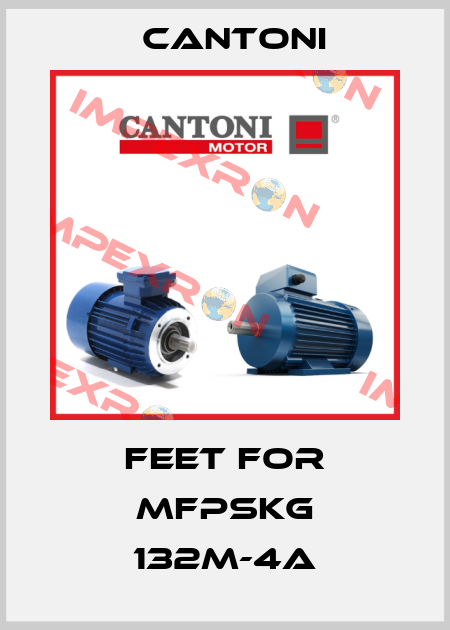 feet for mFPSKg 132M-4A Cantoni