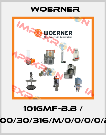 101GMF-B.B / GMF-B.B/00/30/316/M/0/0/0/0/2/0/0/8/K Woerner