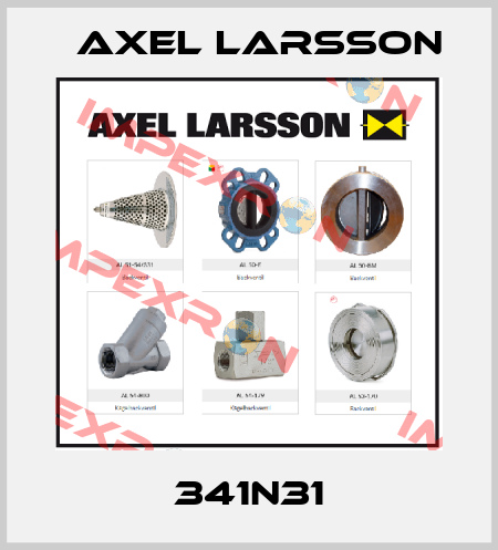 341N31 AXEL LARSSON