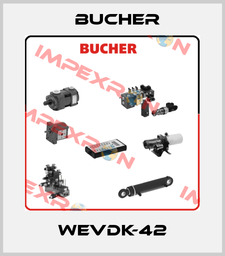 WEVDK-42 Bucher