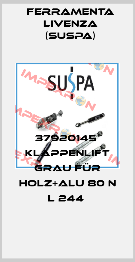 37920145  Klappenlift grau für Holz+Alu 80 N L 244  Ferramenta Livenza (Suspa)