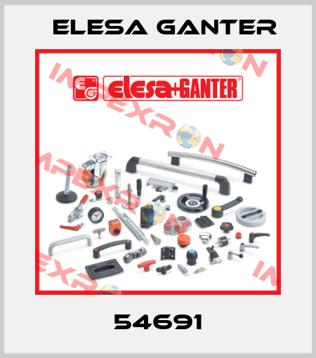 54691 Elesa Ganter
