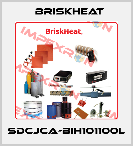 SDCJCA-BIH101100L BriskHeat
