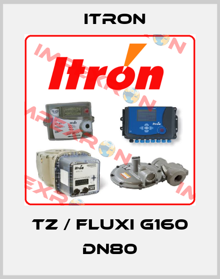 TZ / FLUXI G160 DN80 Itron