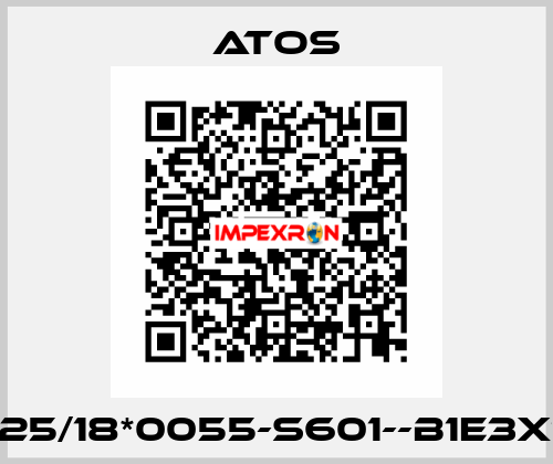 CK-25/18*0055-S601--B1E3X1Z3 Atos