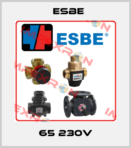 65 230V Esbe