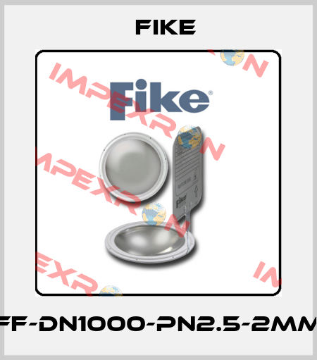 FF-DN1000-PN2.5-2MM FIKE