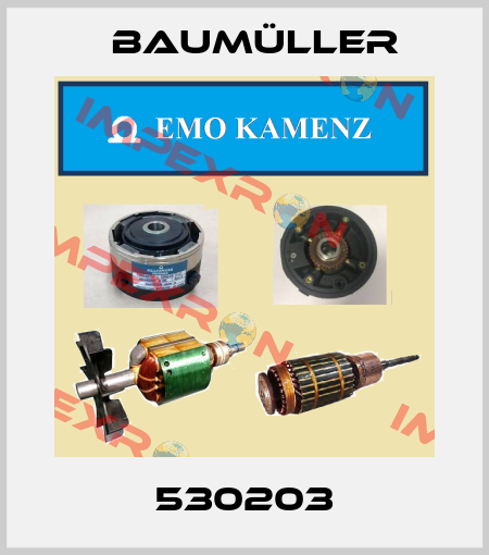 530203 Baumüller