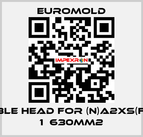 Cable head for (N)A2XS(F)2Y 1х630mm2 EUROMOLD