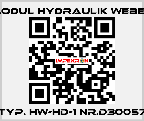 Typ. HW-HD-1 Nr.D30057 MODUL HYDRAULIK WEBER