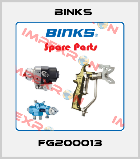 FG200013 Binks