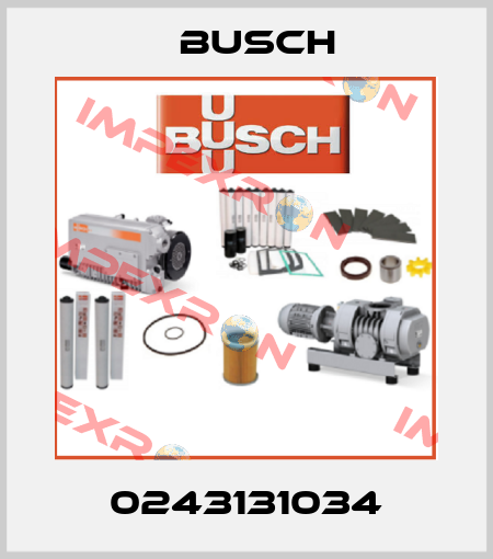 0243131034 Busch