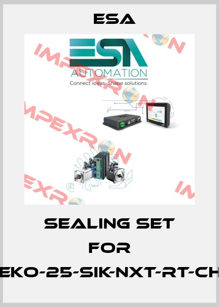Sealing set for REKO-25-SiK-NxT-RT-CH4 Esa