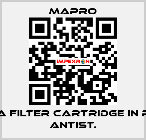C10A filter cartridge in pol. Antist. Mapro