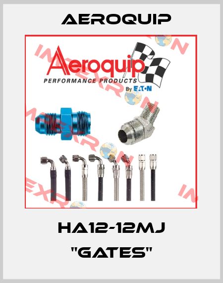 HA12-12MJ "GATES" Aeroquip